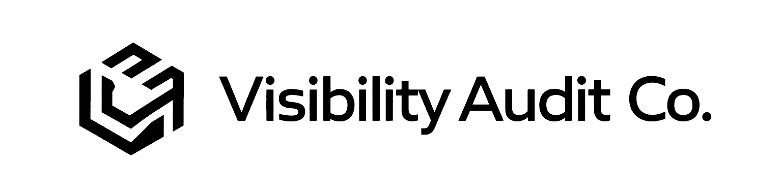Visibility Audit Co. logo